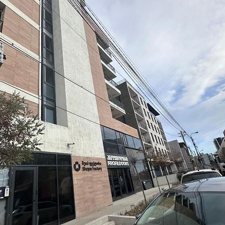 New Apartment With Terrace ティビリシ エクステリア 写真
